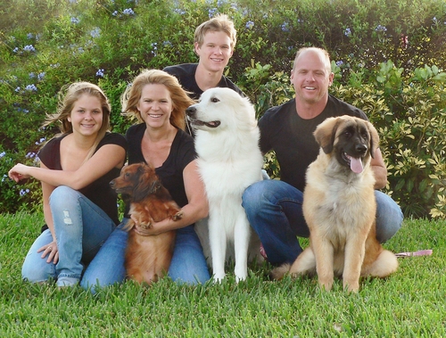happy family with dogs on lawn