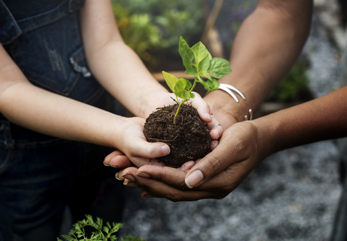 Fruit of the Loom environmental efforts