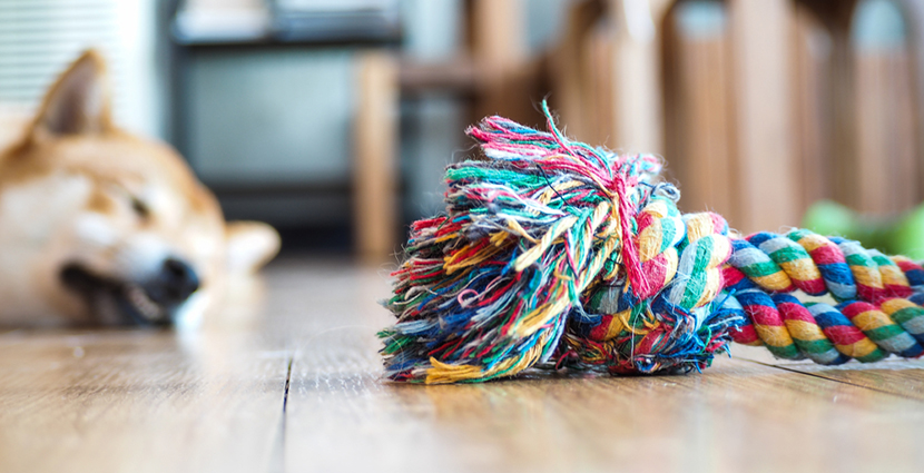 tie dye dog rope lying on floor