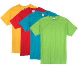 Bright Colors Adult T-Shirt