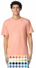Assorted Adult|Comfort Colors Tees