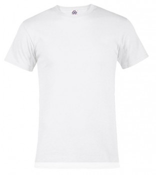 White |Adult Tee (size Small)