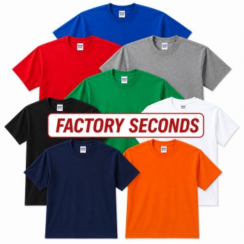 Assorted | Adult T-Shirt (2nds)
