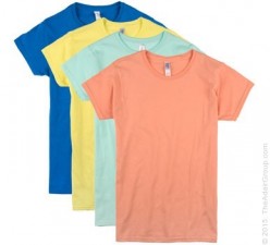 Assorted Colors/Sizes|Ladies Fitted T-Shirt
